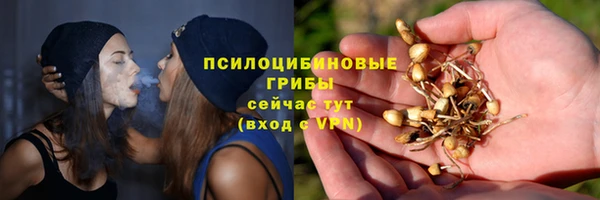 гидра Киреевск