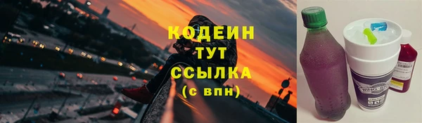 СК Кинешма