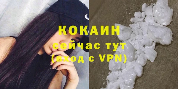 гидра Киреевск