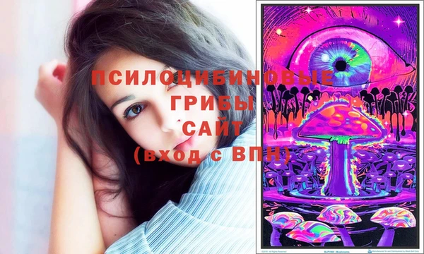 СК Кинешма