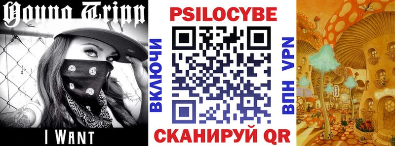 Купить где Малгобек Псилоцибиновые грибы мухоморы
